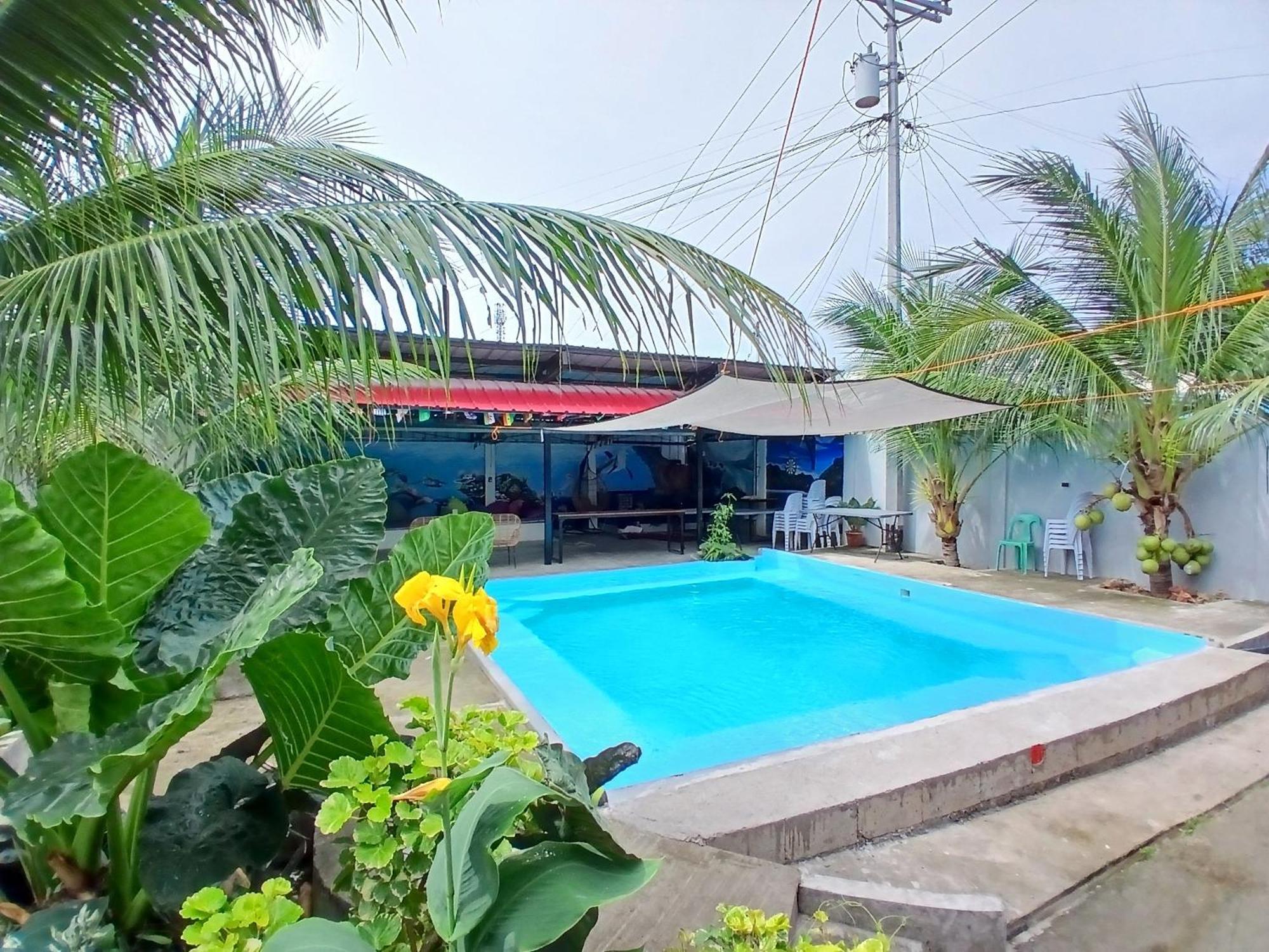Ananas Guesthouse 莫阿尔博阿 外观 照片