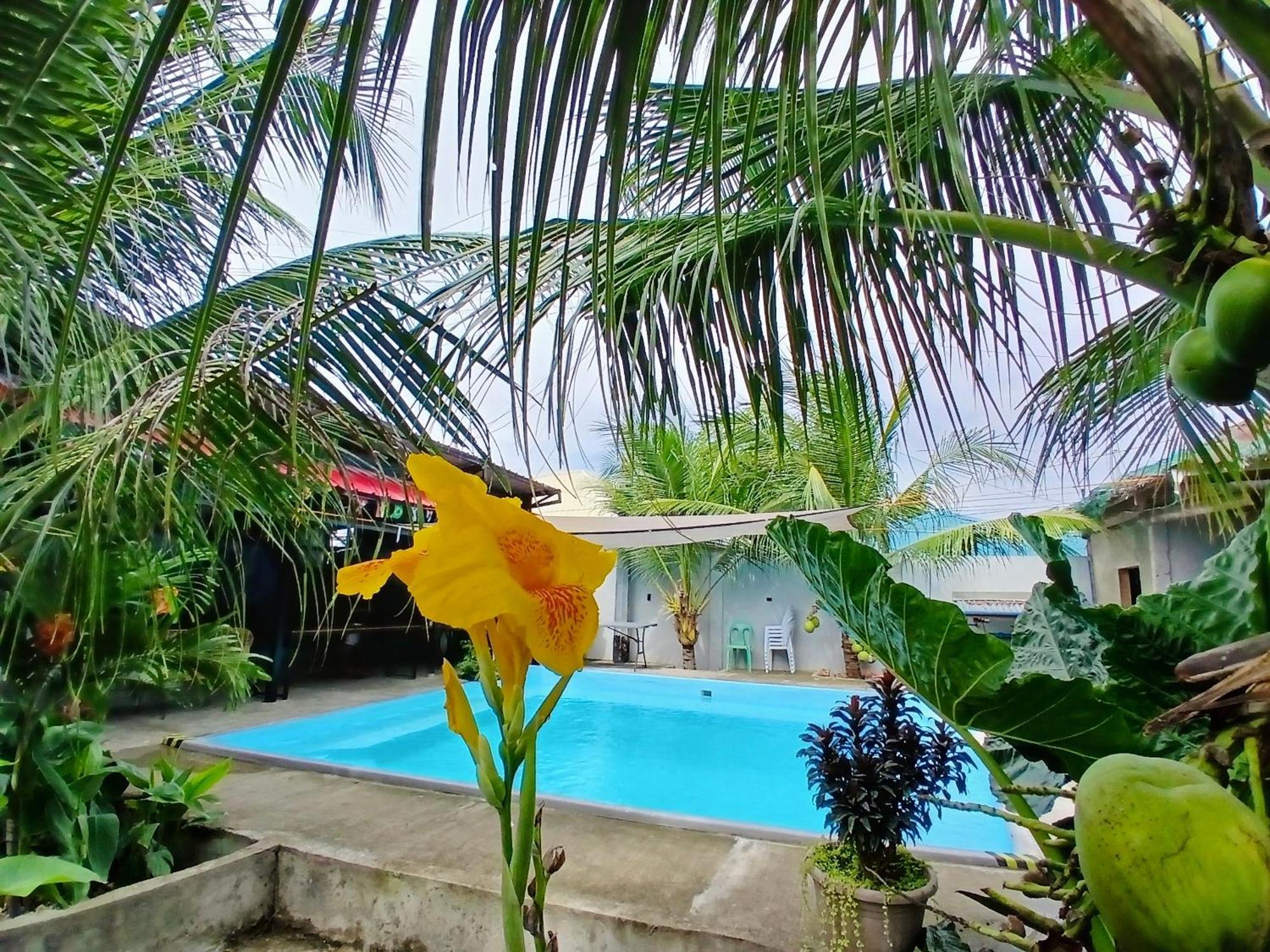 Ananas Guesthouse 莫阿尔博阿 外观 照片
