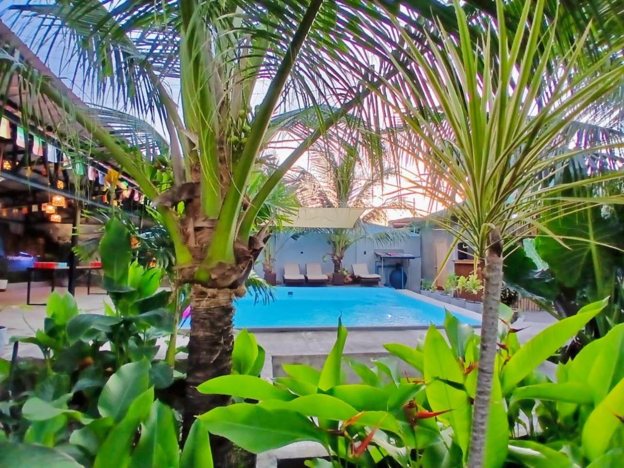 Ananas Guesthouse 莫阿尔博阿 外观 照片